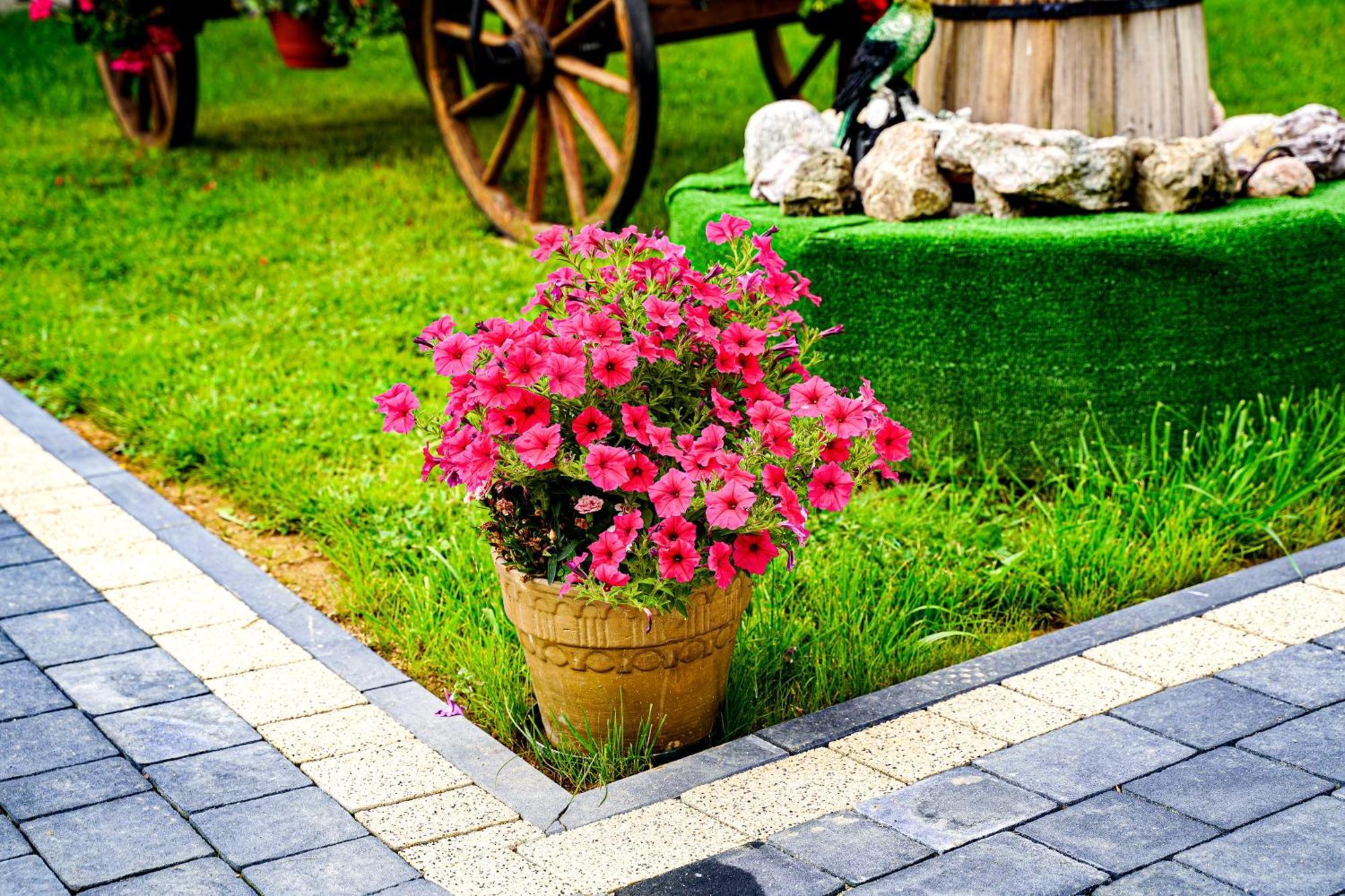 Gosciniec Kukulka Z Jacuzzi Bed & Breakfast Zakopane Ngoại thất bức ảnh